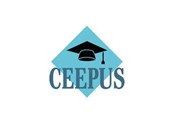 Large Ceppus