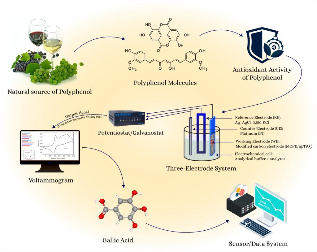 Graphical apstract_Micin et al