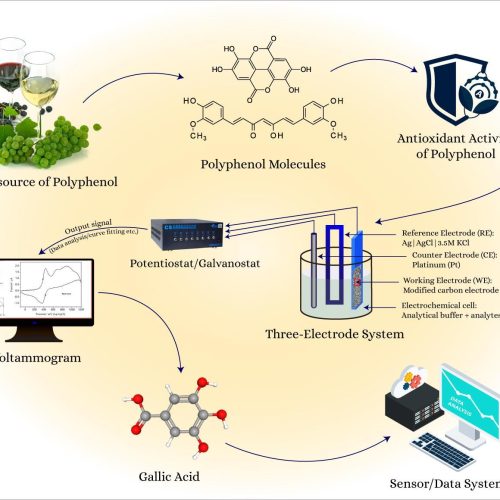 Graphical Apstract Micin Et Al