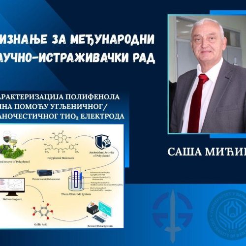 Мићин слика главна